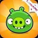 Bad Piggies