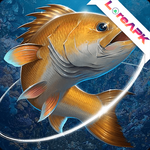 Fishing Hook Mod APK 2.5.9 (Unlimited Money)