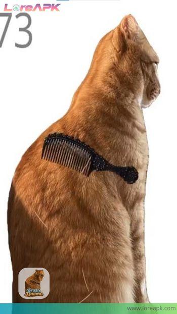 brush jjaemu download