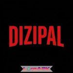 Dizipal