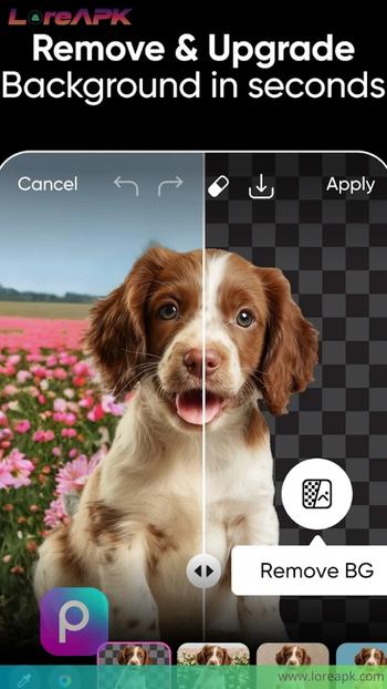 picsart apk download