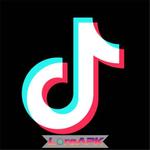 TikTok Mod APK 44.6.4 (Tanpa tanda air/Tanpa iklan)
