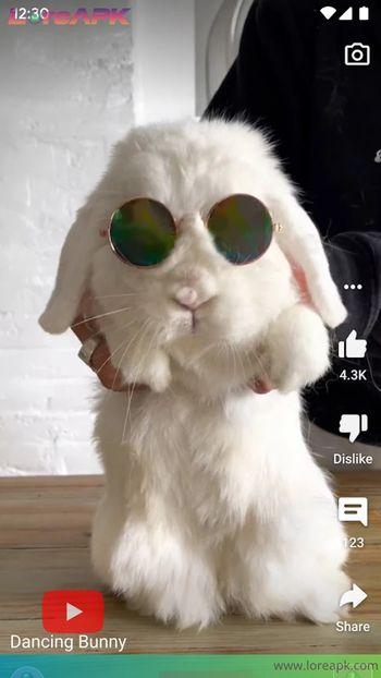 youtube apk mediafire